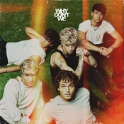 Why Dont We - The Good Times and The Bad Ones (LP)