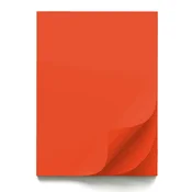 Papir šeleshamer b1 70x100 intenziv er