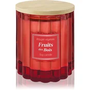 Esprit Provence Fruits Des Bois dišeča sveča s pokrovčkom 100 g
