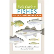 Field Guide to Fishes of the Chesapeake Bay