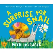 Surprise for Snail