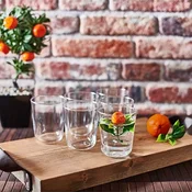 Hermia Set caša, 6 komada, Providni