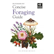 Concise Foraging Guide