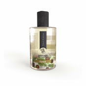 Dišava za dom 100 ml Forest – Boles d´olor