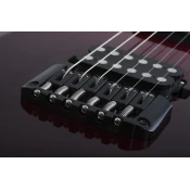 Schecter Reaper-6 Elite Blood Burst elektricna gitara