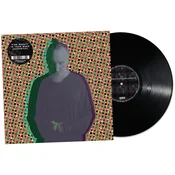 Fink - Beauty In Your Wake (Acoustic) (LP)