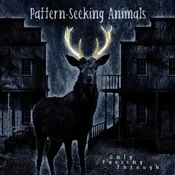 Pattern-Seeking Animals - Only Passing Through (2 LP + CD)
