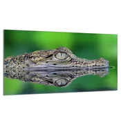 shumee Steklena zaščitna plošča za štedilnik 90x52 Crocodile
