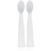 innoGIO GIOSonic Spare Heads nadomestne glave za zobno ščetko GIOSonic 2 kos