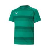 PUMA Funkcionalna majica TeamVision zelena/temno zelena/bela