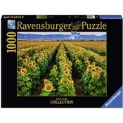 Ravensburger puzzle (slagalice) - 1000 pcs Fields of Gold RA15288