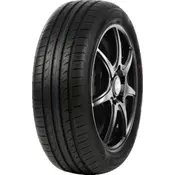 Roadhog RGS01 ( 205/60 R16 92H )