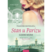 Stan u Parizu