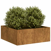 Sadilica boja hrde 80x80x30 cm od pohabanog celika