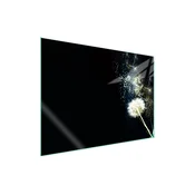 shumee Steklena zaščita za kuhalno ploščo 70x52 Roža