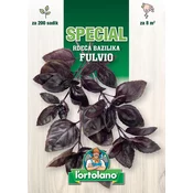 BAZILIKA FULVIO