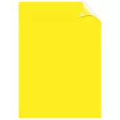 Korice za spiralno koričenje 200my pvc A4 pk100 Fellowes providno žute