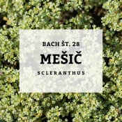 Bachove kapljice 28, Mešič - Scleranthus, 10 ml