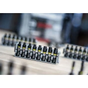 Nastavek PRO Torx Impact, T25, 25 mm, 2 kosa