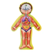 Woody Edukativni set Human Body