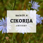 Bachove kapljice 8, Cikorija - Chicory, 10 ml
