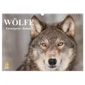 Wölfe. Verwegene Anmut (Wandkalender 2026 DIN A3 quer), CALVENDO Monatskalender