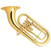 Evfonij Model 310 Oberkrainer Top Sound