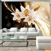 Foto tapeta - Circle of Light 300x210