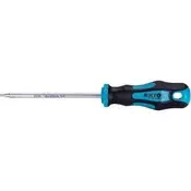 Extol Premium Izvijač (8819246) TORX screwdriver, T20x100mm, CrV