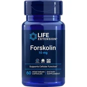 Forskolin, 10 mg - 60 kapsul