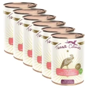 Terra Canis ??Light Turkey with celery, pineapple & buckthorn berry 6 x 400 g
