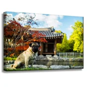 shumee Platno s tiskom Živali Mops 60x40 cm