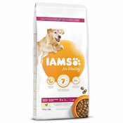 IAMS hrana za pse Dog Senior Large Chicken, 12 kg