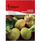 Seme koleraba rumena maslena