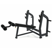 Toorx WBX-3600 – kombinirana declined klop za potisk s prsi