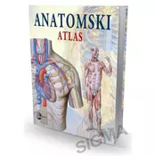 Atlas anatomije