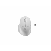 Natec optična miška SISKIN 2/1600 DPI/Office/Optical/Right-handed/Wireless USB + Bluetooth/White