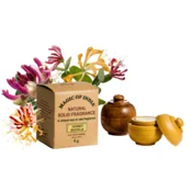 DE Naravna parfumska krema Magic of India HONEY SUCKLE, 6 g
