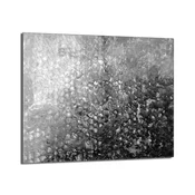 shumee Steklena zaščitna plošča za štedilnik 60x52 Krople