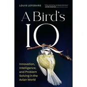 A Birds IQ