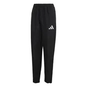 ADIDAS PERFORMANCE Športne hlače ENT26 črna