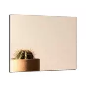 shumee Steklena zaščita za kuhalno ploščo 60x52 Cactus