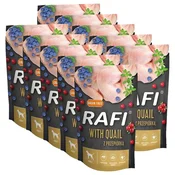 Rafi Adult GF Paté with Quail 10 x 500 g