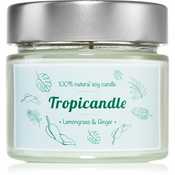 Tropicandle Lemongrass & Ginger dišeča sveča 170 ml