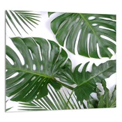 shumee STEKLENA PLOŠČA ZA KUHINJO 65x60 Monstera