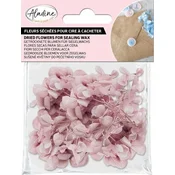 Aladine 72663 Suho Cvetje Powder Pink