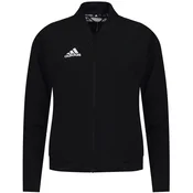 ADIDAS muška zimska jakna