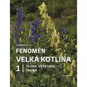 Fenomén Velká kotlina 1 - Flóra, vegetace, fauna