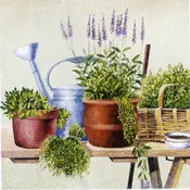 Salveta za dekupaž Potting Herbs - 1 kom (salvete za dekupaž)