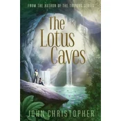 The Lotus Caves